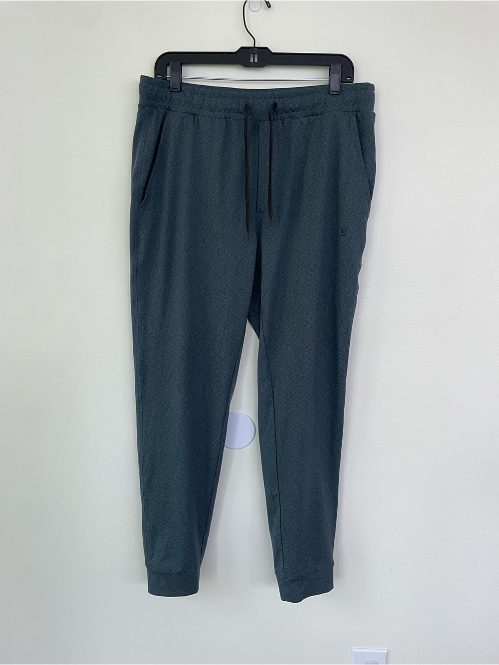 EVERLANE Renew Air Jogger Pants in Heathered Kingfisher Blue Green L Large